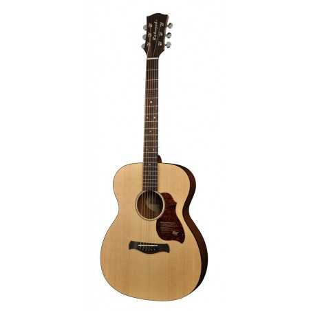 Richwood A-20-E | Casa Abreu - Loja de Instrumentos Musicais