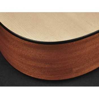 Richwood A-20-E | Casa Abreu - Loja de Instrumentos Musicais