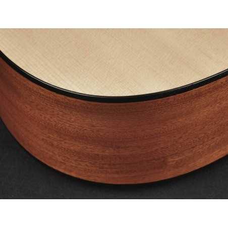 Richwood A-20-E | Casa Abreu - Loja de Instrumentos Musicais