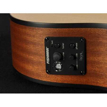 Richwood A-20-E | Casa Abreu - Loja de Instrumentos Musicais