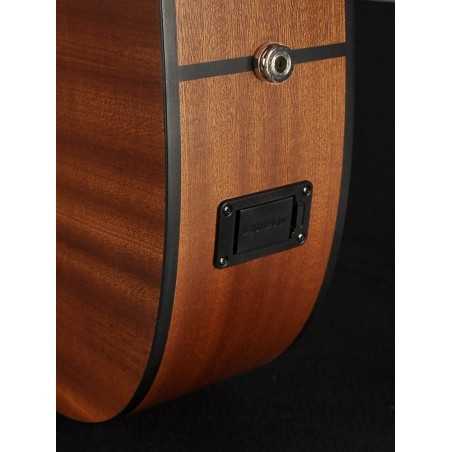 Richwood A-20-E | Casa Abreu - Loja de Instrumentos Musicais