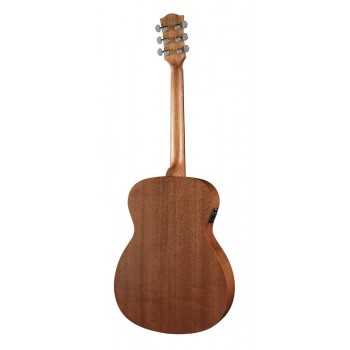 Richwood A-50-E | Casa Abreu - Loja de Instrumentos Musicais