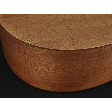 Richwood A-50-E | Casa Abreu - Loja de Instrumentos Musicais