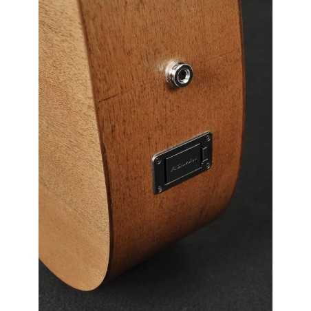 Richwood A-50-E | Casa Abreu - Loja de Instrumentos Musicais