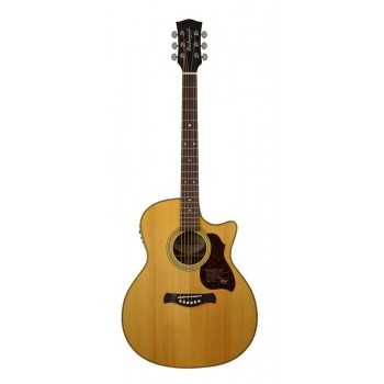 Richwood G-65-CEVA | Casa Abreu - Loja de Instrumentos Musicais