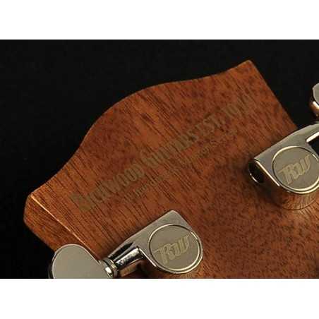 Richwood G-65-CEVA | Casa Abreu - Loja de Instrumentos Musicais