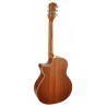 Richwood SWG-110-CE | Casa Abreu - Loja de Instrumentos Musicais