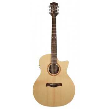 Richwood SWG-110-CE | Casa Abreu - Loja de Instrumentos Musicais