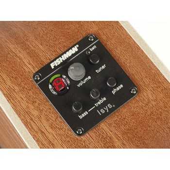 Richwood SWG-110-CE | Casa Abreu - Loja de Instrumentos Musicais