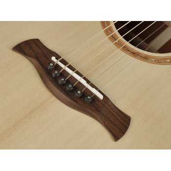 Richwood SWG-110-CE | Casa Abreu - Loja de Instrumentos Musicais
