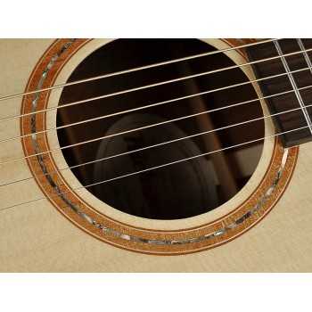 Richwood SWG-110-CE | Casa Abreu - Loja de Instrumentos Musicais