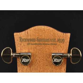 Richwood D-70-CEVA | Casa Abreu - Loja de Instrumentos Musicais