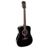 Richwood D-40-BK | Casa Abreu - Loja de Instrumentos Musicais