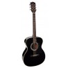 Richwood A-40-BK | Casa Abreu - Loja de Instrumentos Musicais