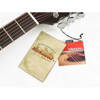 Richwood A-40-BK | Casa Abreu - Loja de Instrumentos Musicais