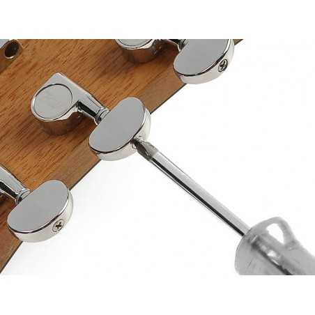 Richwood G-40-CESB | Casa Abreu - Loja de Instrumentos Musicais