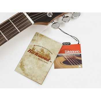 Richwood G-40-CESB | Casa Abreu - Loja de Instrumentos Musicais