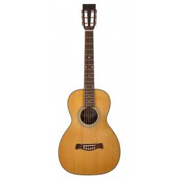 Richwood P-65-VA | Casa Abreu - Loja de Instrumentos Musicais