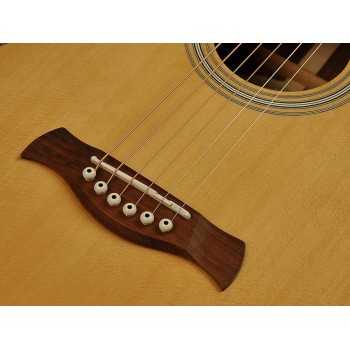 Richwood P-65-VA | Casa Abreu - Loja de Instrumentos Musicais