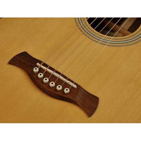 Richwood P-65-VA | Casa Abreu - Loja de Instrumentos Musicais