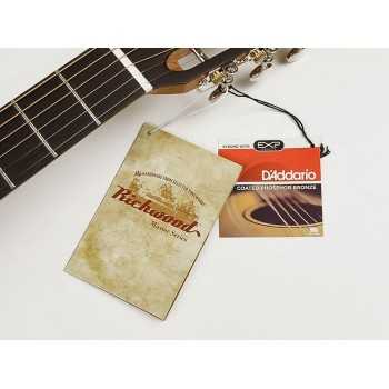 Richwood P-50 | Casa Abreu - Loja de Instrumentos Musicais